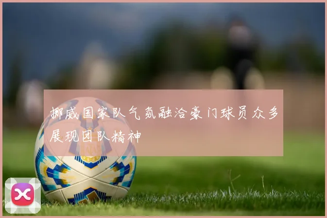 挪威国家队气氛融洽豪门球员众多展现团队精神